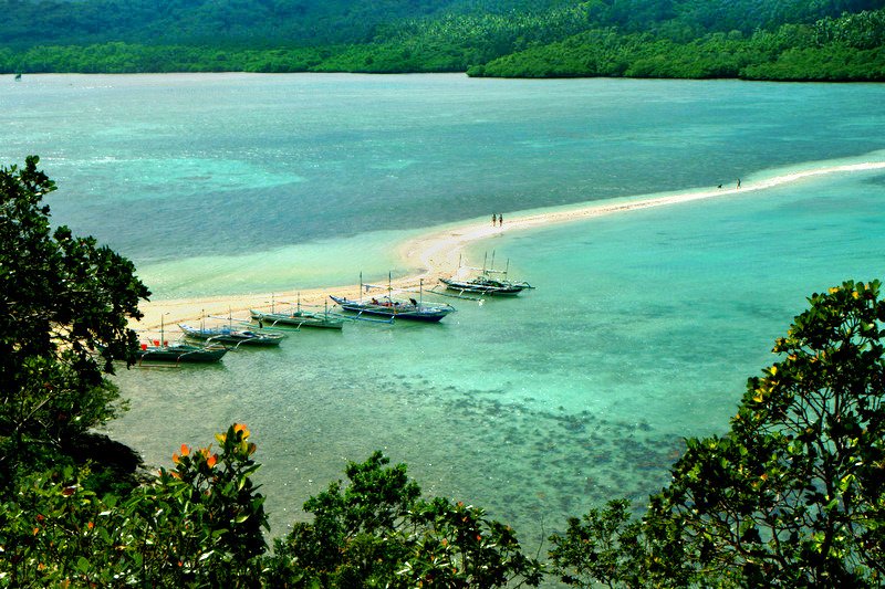 Snake Island El Nido Tour B